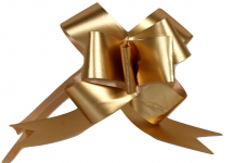 BOW BUTTERFLY GOLD 22MM X100(640024)