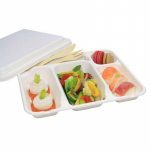 REACH ECO BAGASSE 5 COMP TRAY X200(Z)