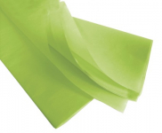 TISSUE GREEN 480 SHEETS X1(84C0019)